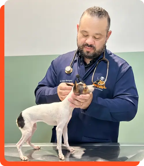 Médico veterinário da Faro Animal examinando um cachorro