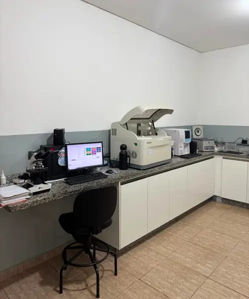 Laboratório interno