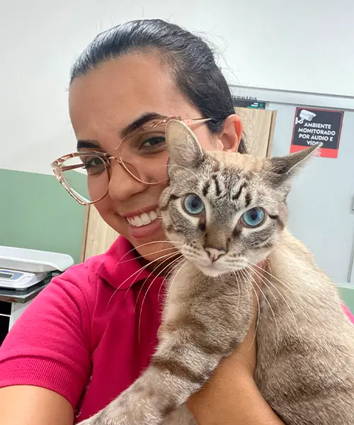 Veterinária com um gato no colo